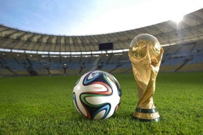 国际游泳全国青少年联赛裁判员名单更新，2021国家级游泳裁判
